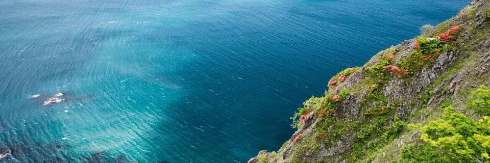 “普通じゃない道”を選んだら、幸せになった話